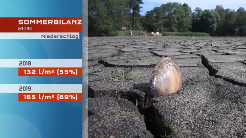 Der Sommer 2019 neigt sich dem Ende Bilder eines extremen Sommers
