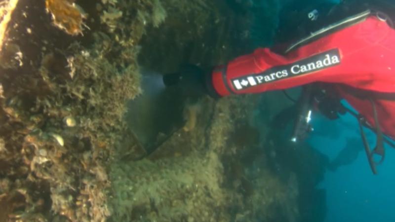 Franklin-Expedition in der Arktis Erste Aufnahmen des Wracks der "HMS Terror"