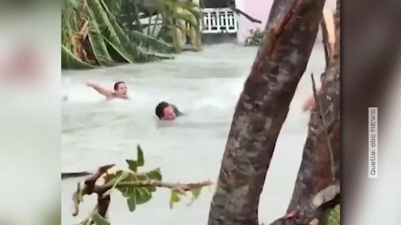 Hurrikan auf den Bahamas Frau rettet sich und ihre Hunde vor den Fluten