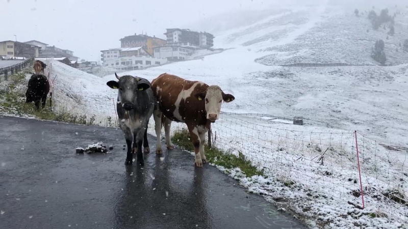 Wintereinbruch Schnee Nachschlag in den Alpen