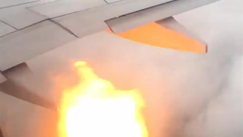 Flammen schießen aus Triebwerk Notlandung wegen Vogelschlag
