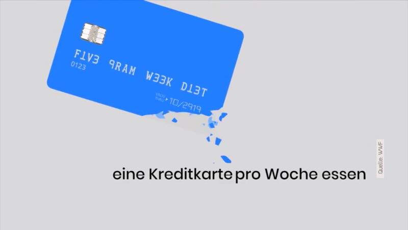 Unsichtbare Gefahr in Luft & Nahrung: Mikroplastik