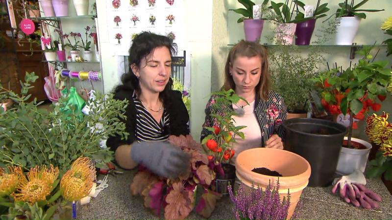 Erste-Hilfe-Tipps von der Floristin So machen sie Balkon und Terrasse herbstfit