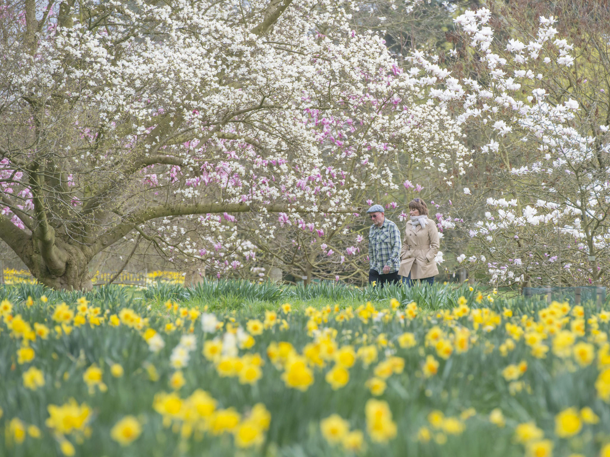 So genießt Großbritannien Strand und Sonne | wetter.de