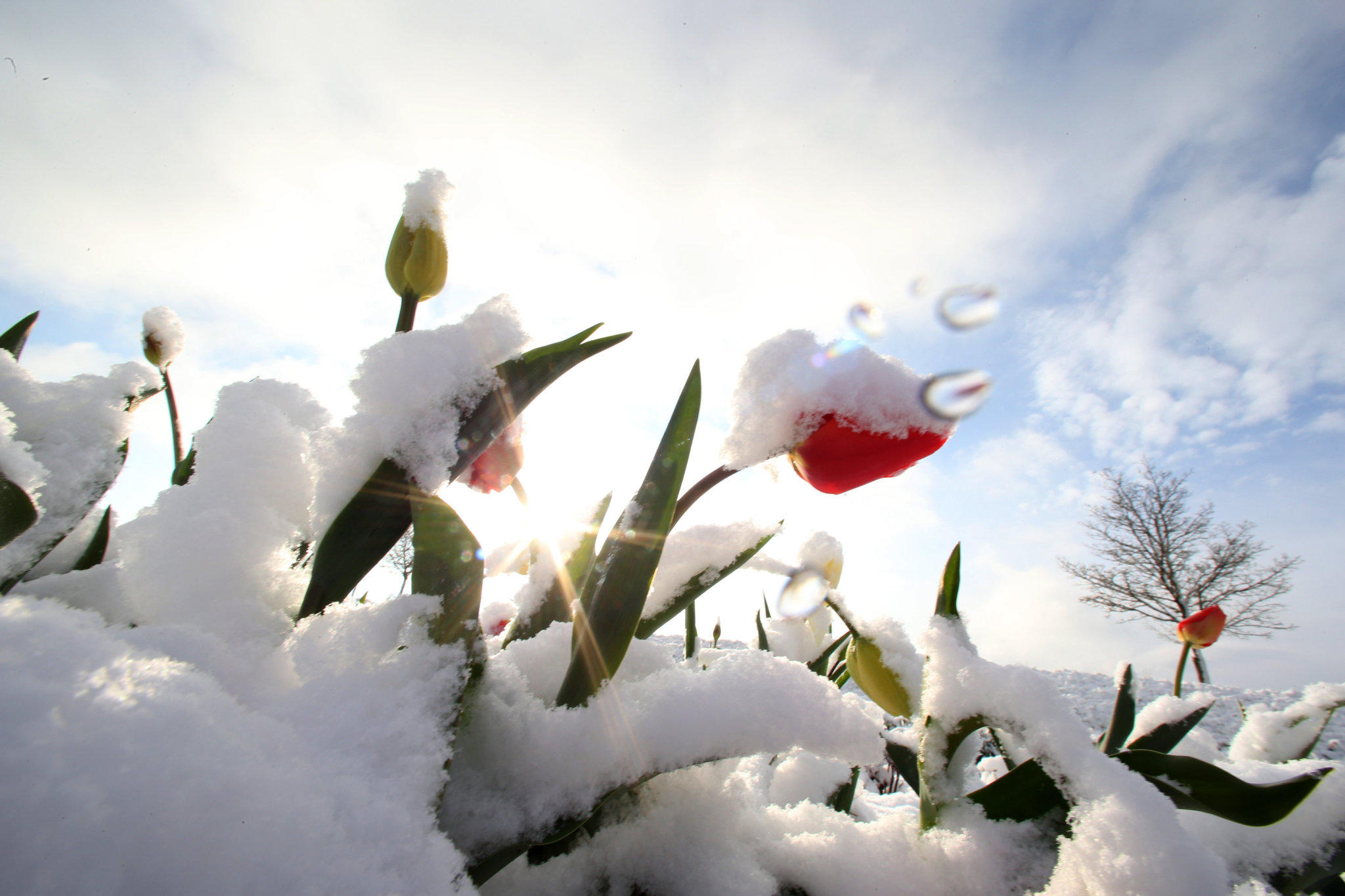 Wintereinbruch Ende April: Die besten Schneebilder  wetter.de