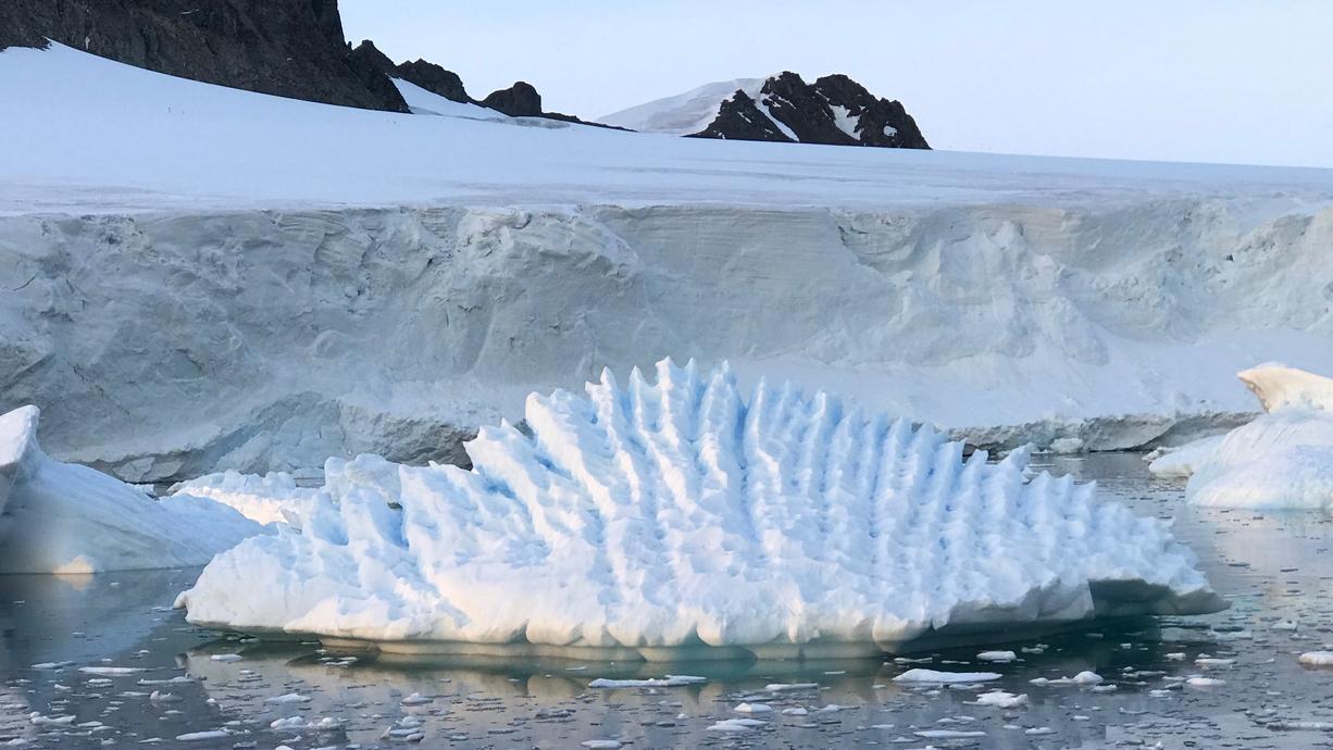 Antarktis-Eis taut immer schneller - Meeresspiegel steigt