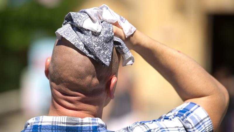 Ein Mann wischt sich am 02.08.2013 in Hannover (Niedersachsen) mit einem Stofftuch über den Kopf. Foto: Sebastian Kahnert/dpa | Verwendung weltweit