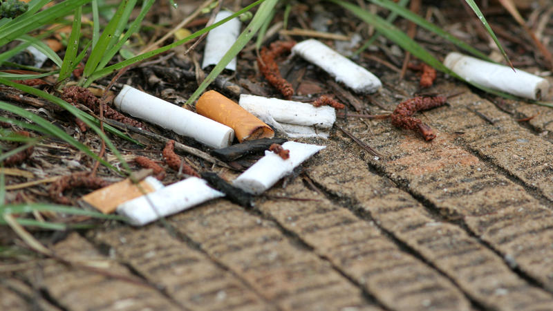 Die meisten Zigarettenkippen landen in der Umwelt und vergiften das Wasser