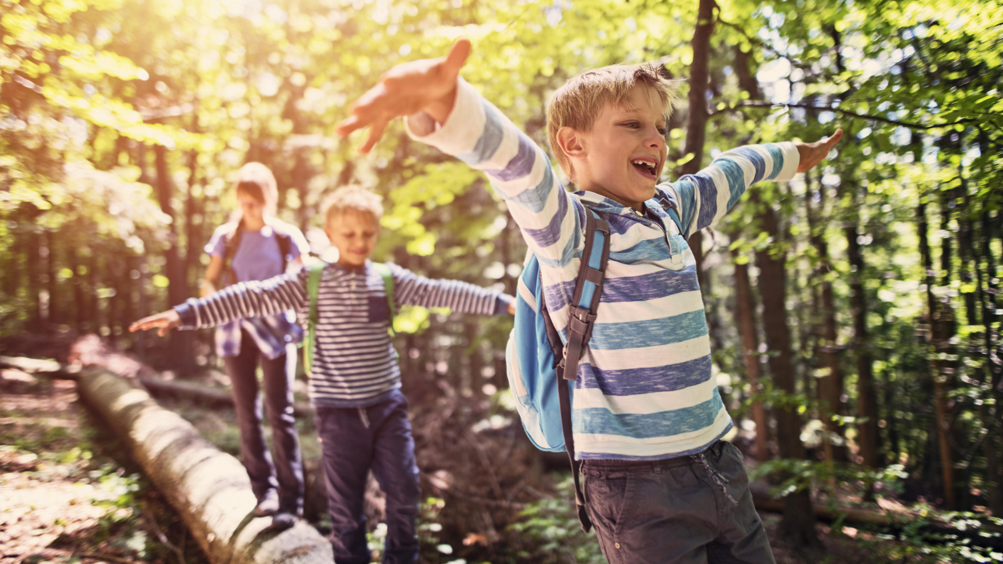 Kinder spielen im Wald