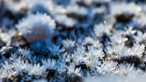 DEU/Deutschland/Brandenburg/Lieske, 27.11.2013, Erste frostige Tage in Brandenburg. Eiskristalle (Raureif) haben sich an Steinen abgesetzt. **Foto: Andreas Franke** | Verwendung weltweit