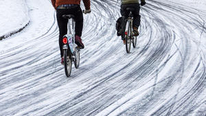29.01.2019, Sachsen, Leipzig: Fahrradfahrer fahren über eine Straße voller Fahrradspuren durch den winterlichen Clara-Zetkin-Park. Foto: Jan Woitas/dpa-Zentralbild/dpa +++ dpa-Bildfunk +++