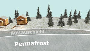 bild.jpg