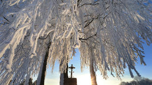 06.02.2019, Bayern, Buchloe: Ein mit Eiskristallen überzogener Baum steht in der Morgensonne hinter einem Wegkreuz. Foto: Karl-Josef Hildenbrand/dpa +++ dpa-Bildfunk +++