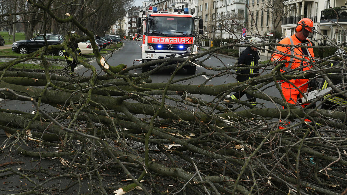 Sturmtief „Eberhard“ Autofahrer von Baum erschlagen