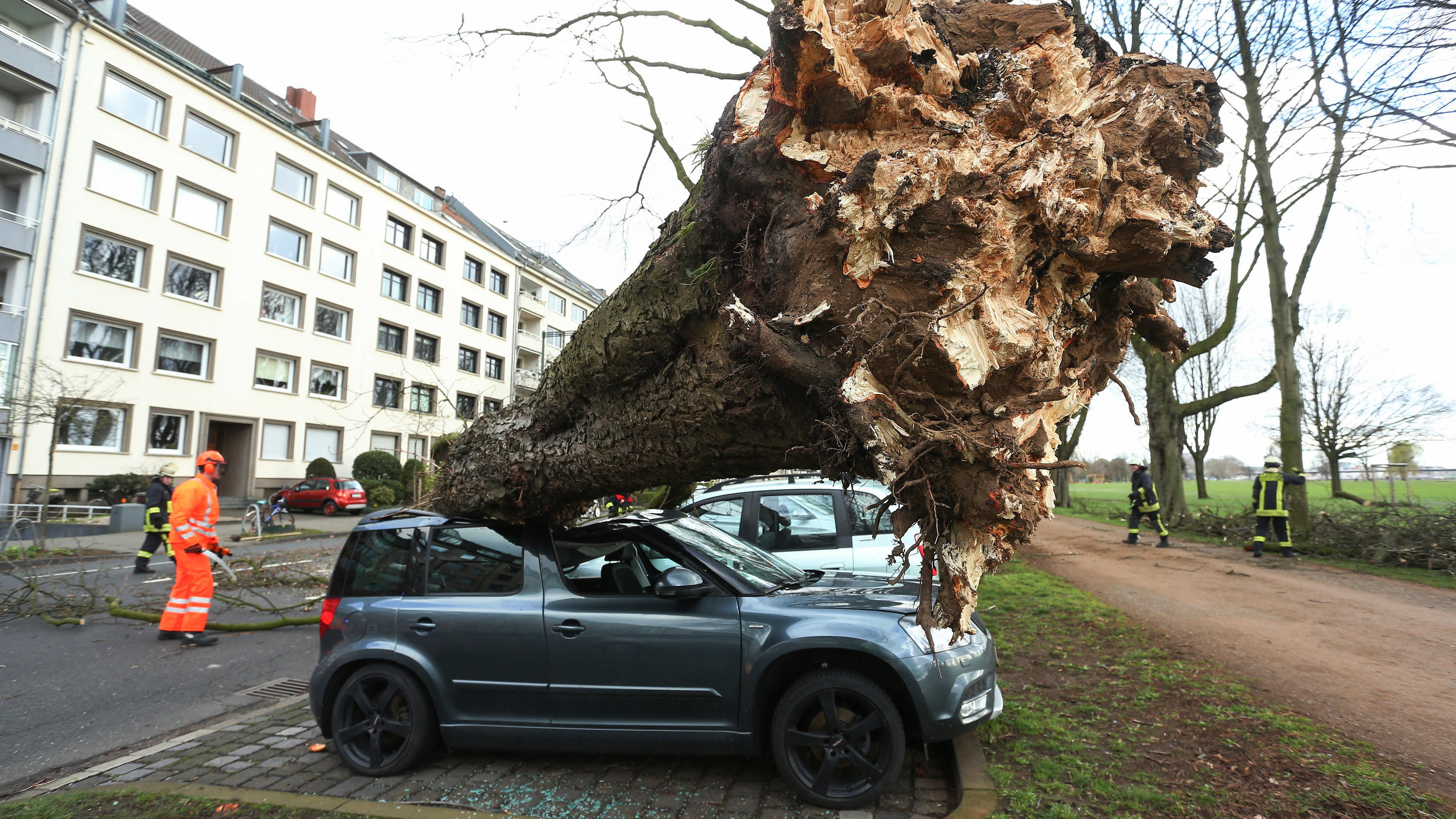 Sturmschäden: Wann haben Sie Anspruch auf Schadenersatz? | wetter.de