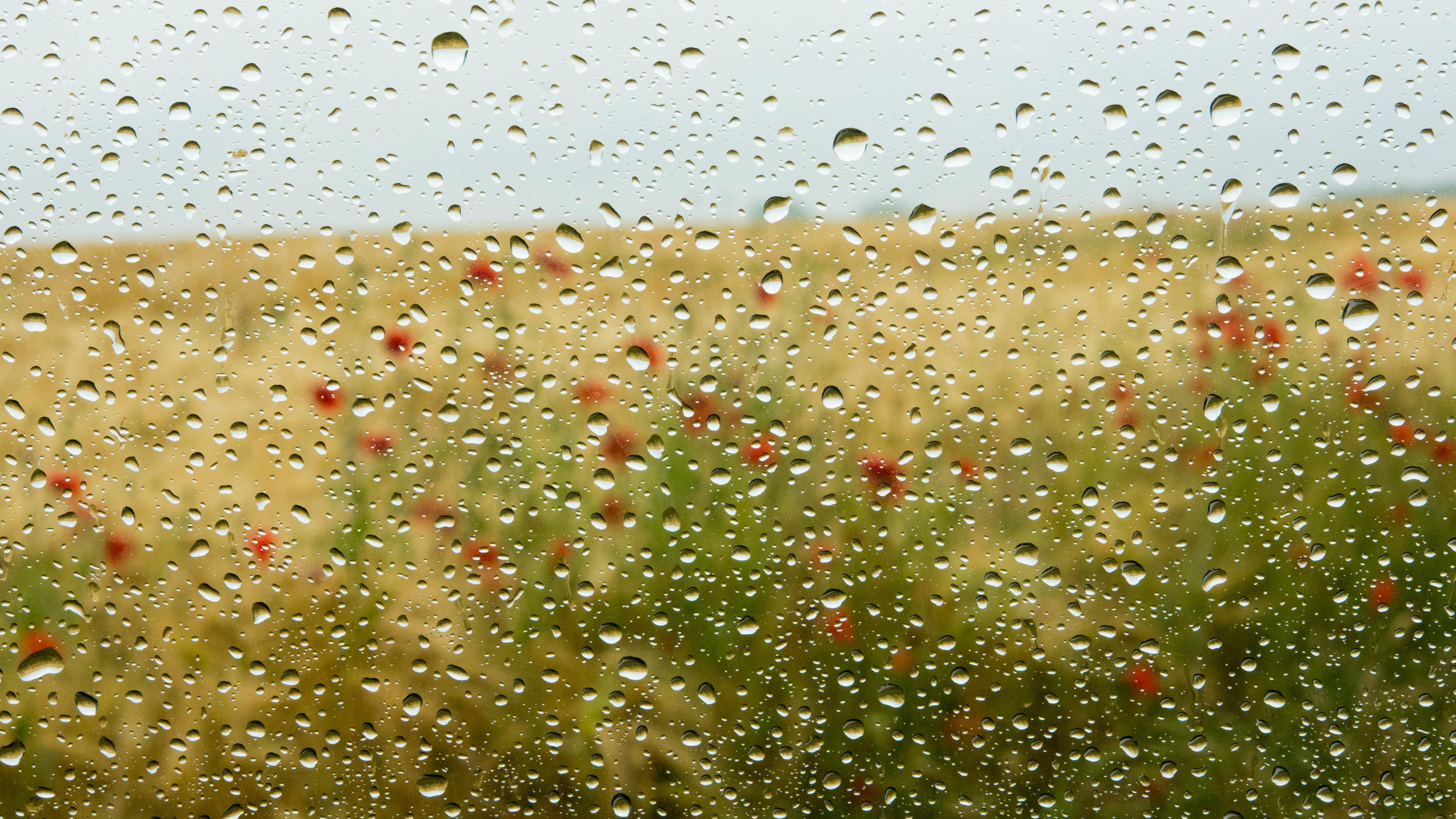 Wetterlexikon: Landregen