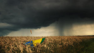 bunter Regenschirm im Getreidefeld bei aufziehendem Gewitter, Deutschland, NRW, Mettmann | colorful umbrella in a grain field when a thunderstorm is coming up, Germany, North Rhine-Westphalia, Mettmann | Verwendung weltweit