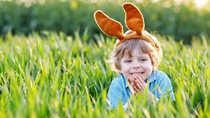 Cute little kid boy with bunny ears having fun with traditional Easter eggs hunt on warm sunny day, outdoors. Celebrating Easter holiday. Toddler finding, colorful eggs in green grass.