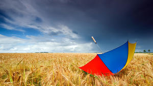 reifes Gerstenfeld mit buntem Regenschirm, Deutschland, NRW, Mettmann | ripe barleyfield with colorful umbrella, Germany, North Rhine-Westphalia, Mettmann | Verwendung weltweit