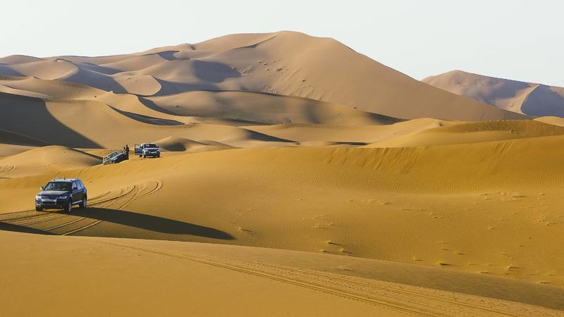 In einer um 4 Grad erwärmten Welt wird die Hälfte der Landfläche zur Wüste. 