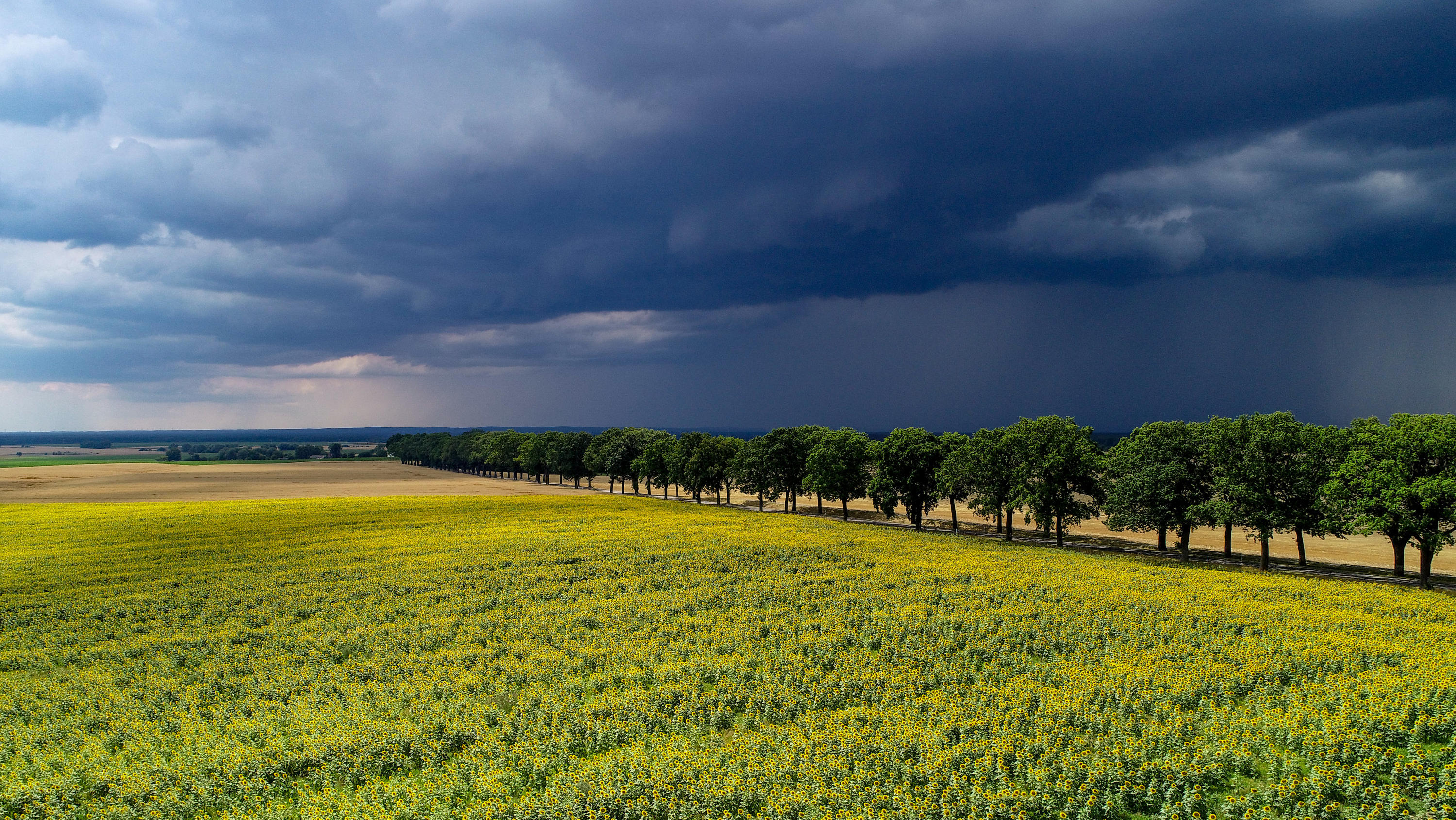 7-Tage-Trend: Bis 32 Grad - der Sommer kommt zurück ...