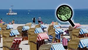 Strandkörbe an der Ostsee