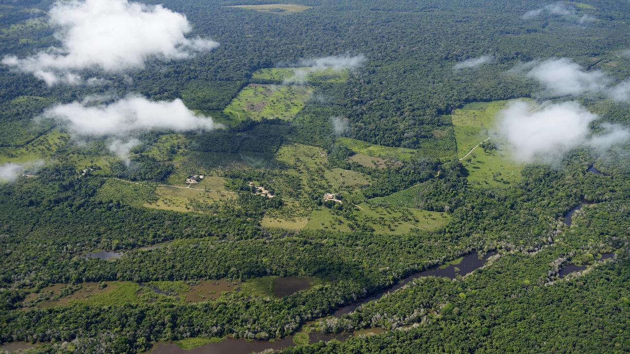 Afrikas Tropenwälder stoßen CO2 aus
