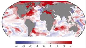 Die Hotspots auf den Weltmeeren sind in "rot" gekennzeichnet.