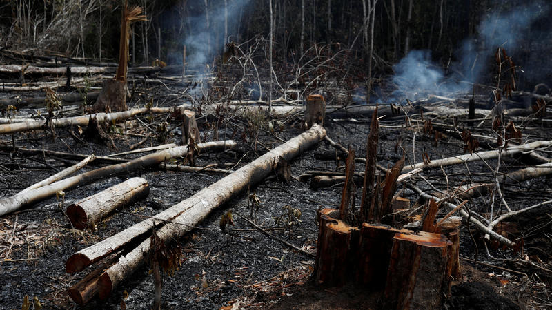 A tract of Amazon jungle burns as it is being cleared by loggers and farmers in Novo Airao, Amazonas state, Brazil August 21, 2019. REUTERS/Bruno Kelly