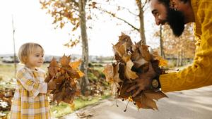 Father and daughter enjoying a morning day in the park in autumn, holding autumn leaves model released Symbolfoto PUBLICATIONxINxGERxSUIxAUTxHUNxONLY JRFF02258  