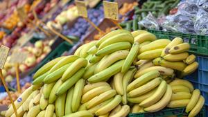 Pilzkrankheit: Angst um unsere Bananen
