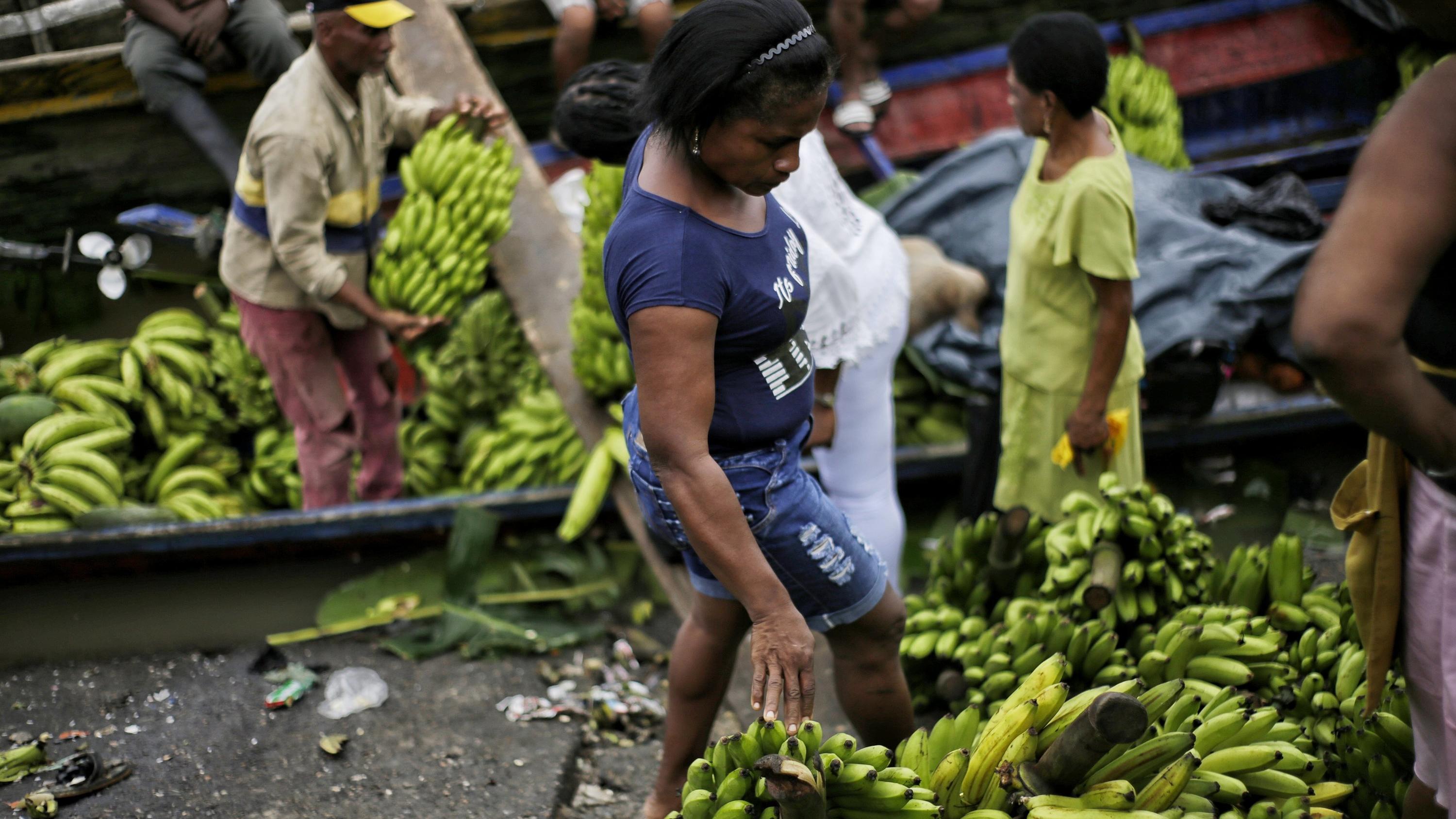 ARCHIV - 03.04.2019, Kolumbien, Quibdo: Eine Frau begutachtet Bananen auf einem Markt in einer ländlichen Region Kolumbiens. Bananenplantagen in Kolumbien sind von einem Pilz befallen, der infizierte Pflanzen absterben lässt. Betroffen sei die Sorte 