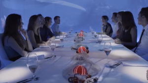 Das Teuerste Restaurant Der Welt Das Teuerste Restaurant Der Welt