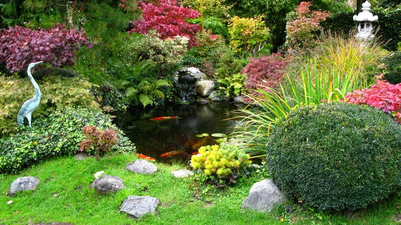 Ein Teich macht den Garten besonders schön