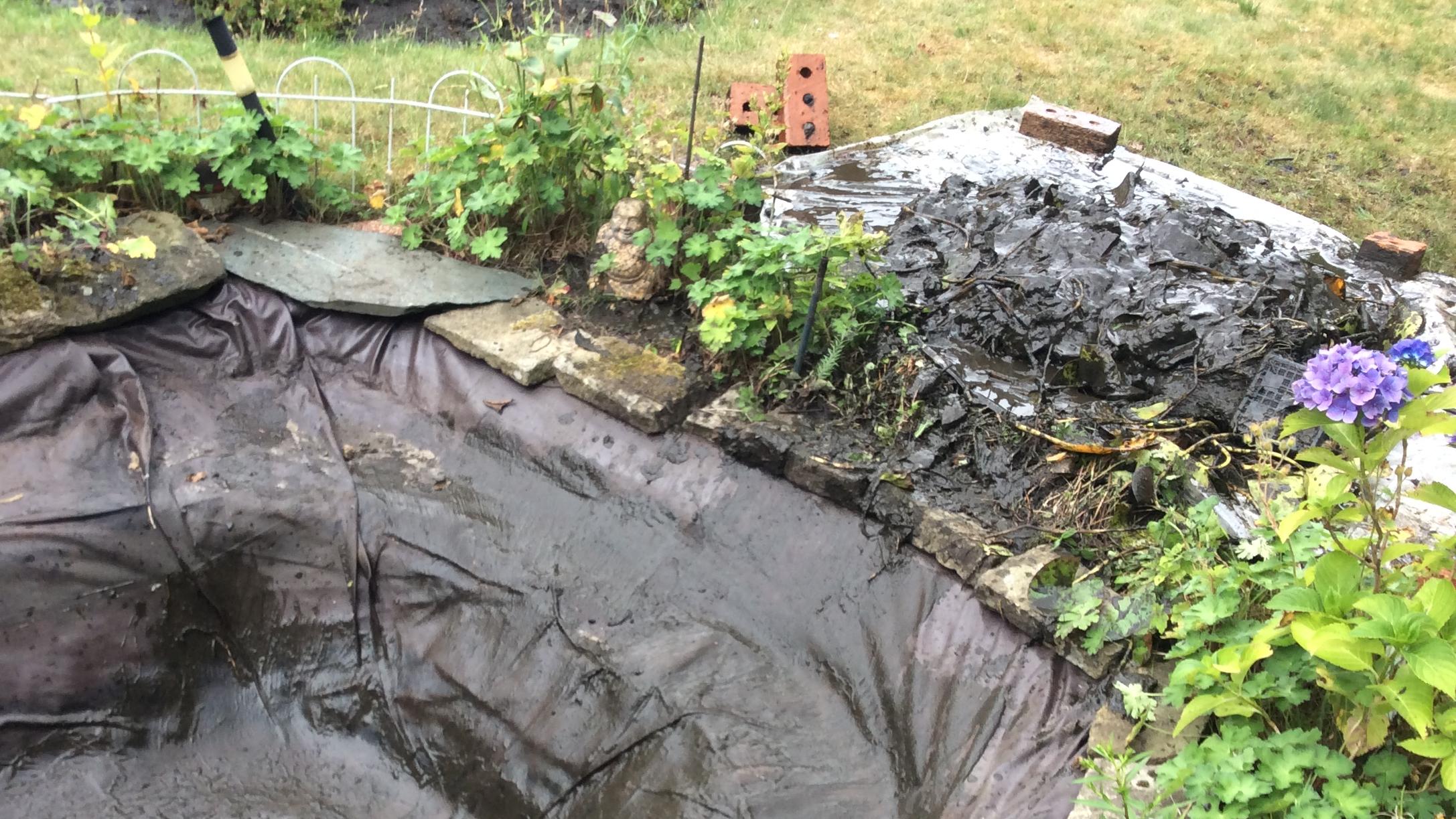 Blätter aus Teich entfernen So klappt’s! wetter.de
