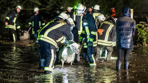 30.09.2019, Nordrhein-Westfalen, Dortmund: Einsatzkräfte der Feuerwehr tragen ein Schaf über eine überflutete Wiese. Starke Regenfälle haben eine Weide mit rund 300 Schafen in Dortmund geflutet. Foto: Marcel Kusch/dpa +++ dpa-Bildfunk +++