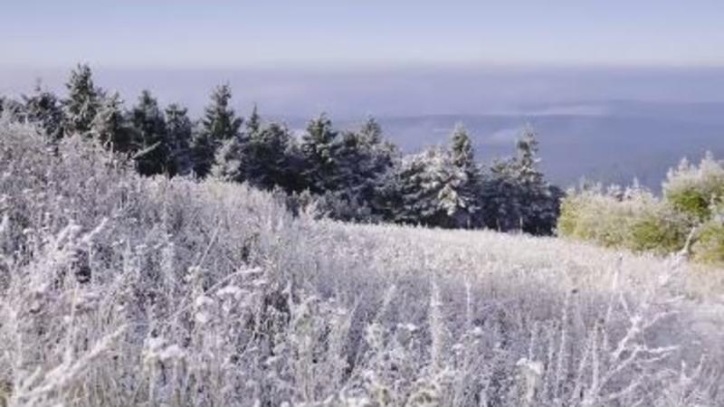Herbstschnee02