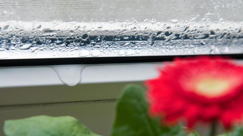 Kondenswasser Wenn Fenster Schwitzen Wetter De