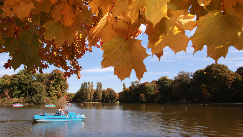 Goldener Oktober mit sommerlich warmen Temperaturen im Park Englischer Garten in München, Bayern, Deutschland: Personen in einem Boot auf dem Kleinhesseloher See und herbstlich gefärbte Ahornblätter. Golden October with warm summer temperatures in t