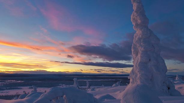 Abendstimmung in verschneiter Landschaft im Stubba Naturreservat, Schweden, Lappland, Muddus Nationalpark, Galivaere | evening mood in snowy landscape in Stubba National Park, Sweden, Lapland, Muddus NP, Galivaere