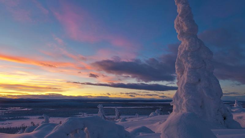 Abendstimmung in verschneiter Landschaft im Stubba Naturreservat, Schweden, Lappland, Muddus Nationalpark.