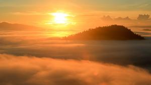 Sonnenaufgang über dem nebelbedeckten Danum-Tal. Sabah, MalaysienDie Verwendung des sendungsbezogenen Materials ist nur mit dem Hinweis und Verlinkung auf TVNOW gestattet.