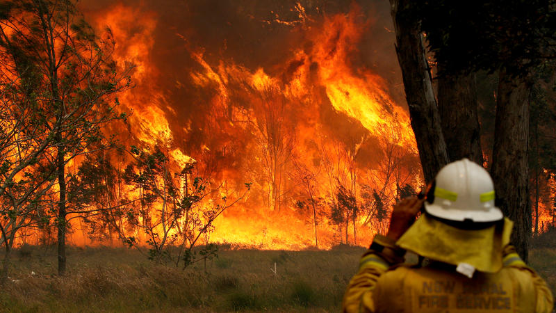 A firefighter on property protection watches the progress of bushfires in Old Bar, New South Wales, Australia November 9, 2019. AAP Image/Shane Chalker/via REUTERS  ATTENTION EDITORS - THIS IMAGE WAS PROVIDED BY A THIRD PARTY. NO RESALES. NO ARCHIVE.
