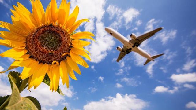 Klar wollen wir, dass etwas gegen den Klimawandel getan wird – theoretisch. Was aber sind wir bereit, dafür zu tun, oder auch zu lassen? Auf was würden die Deutschen alles verzichten?