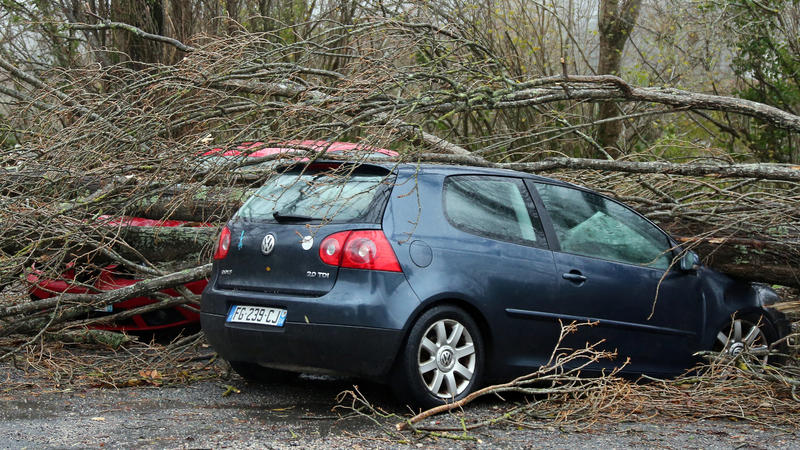 13.12.2019, Frankreich, Ascain: Ein umgestürzter Baum liegt auf einem Auto. Heftige Sturmböen haben den Südwesten Frankreichs und die Mittelmeerinsel Korsika getroffen. Mehrere Départements wurden wegen der Stürme in erhöhte Alarmbereitschaft versetz