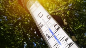 Thermometer im Garten zeigt 45Â°C in der Sonne, Jahrhundertsommer 2018 *** Thermometer in the garden shows 45Â ° C in the sun of the summer of summer 2018  