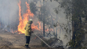 08.01.2020, Australien, Tomerong: Ein Feuerwehrmann kontrolliert ein Gegenfeuer, um einen größeren Brand in der Nähe einzudämmen. Rund 2.300 Feuerwehrleute sind im Bundesstaat New South Wales im Einsatz gegen etwa 110 Buschbrände. Die Buschfeuer in Australien haben nach Behördenangaben bereits mehrere Millionen Hektar Land verbrannt. Foto: Rick Rycroft/AP/dpa +++ dpa-Bildfunk +++