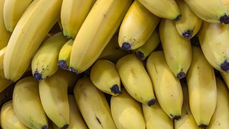Die Reife der Banane erkennen Sie sofort.