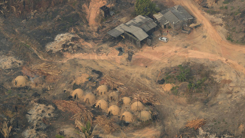 Brasilien, Jaci Parana: Eine Luftaufnahme von Holzbrettern, die aus dem abgeholzten Amazonas Regenwald stammen.