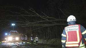 17.02.2020, Niedersachsen, Barnstorf: Die Feuerwehr von Barnstorf räumt die Überreste eines umgestürzten Baums von der Straße. Ausläufer des Orkantiefs «Victoria» haben am Sonntag in Niedersachsen zu zahlreichen Feuerwehreinsätzen geführt. Foto: -/Nord-West-Media TV/dpa +++ dpa-Bildfunk +++